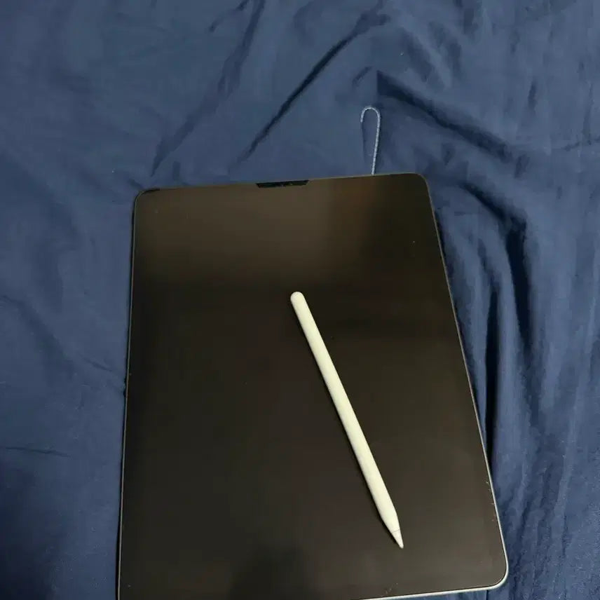 [BUNJANG] Apple iPad Pro 12.9-inch 4th Gen 128GB + Apple Pencil / 아이패드 프로 12.9 4세대 128G + 애플펜슬 판매해요