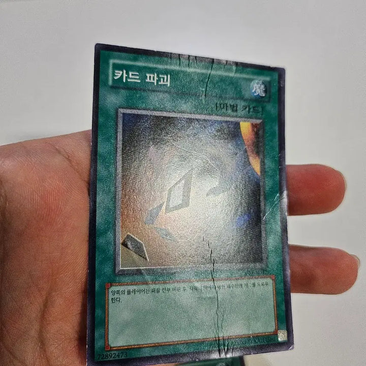 [BUNJANG] Card Destruction Shredder SDY-K042 / 카드파괴 슈레 sdy-k042