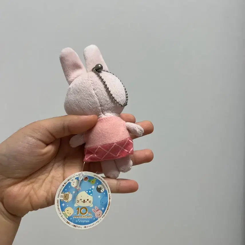 [BUNJANG] Mother Goose no Mori Creative Yoko Rabbit Doll Shirotan Friend / 일본 마더구스노모리 크레이티브요코 토끼 인형 시로탄 친구