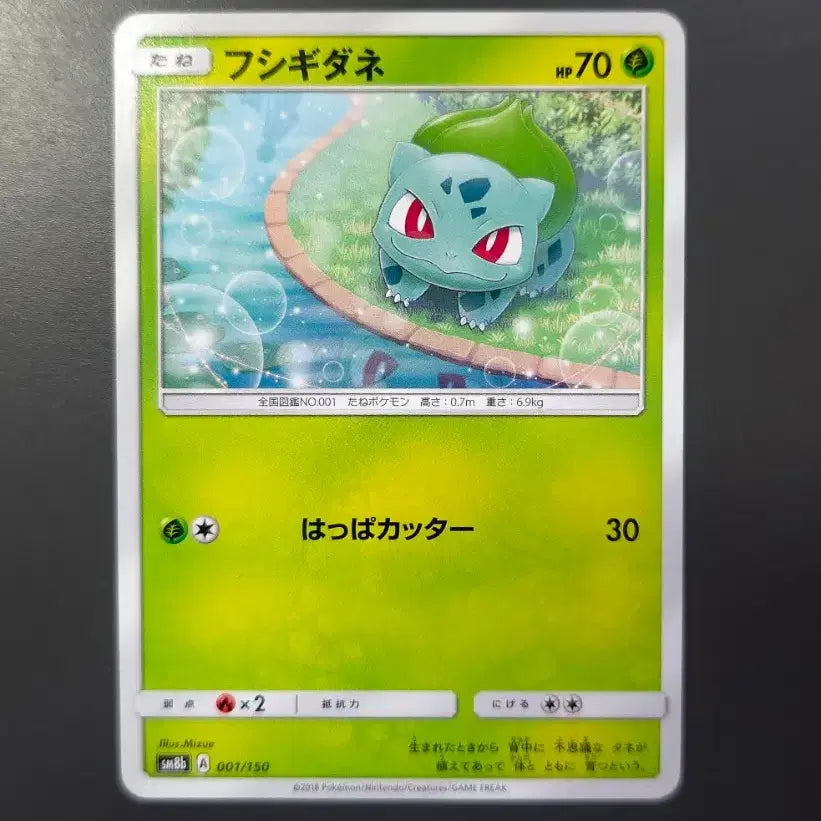 [BUNJANG] Pokemon Card Bundle - Squirtle, Bulbasaur, Charmander, Pikachu / 일판 근본 포켓몬카드 팝니다 꼬부기 이상해씨 파이리 피카츄