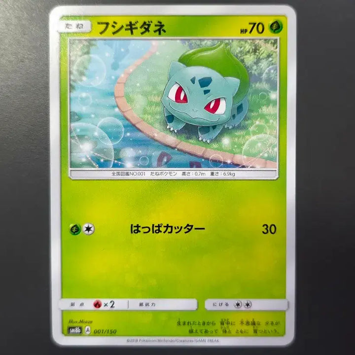 [BUNJANG] Pokemon Card Bundle - Squirtle, Bulbasaur, Charmander, Pikachu / 일판 근본 포켓몬카드 팝니다 꼬부기 이상해씨 파이리 피카츄