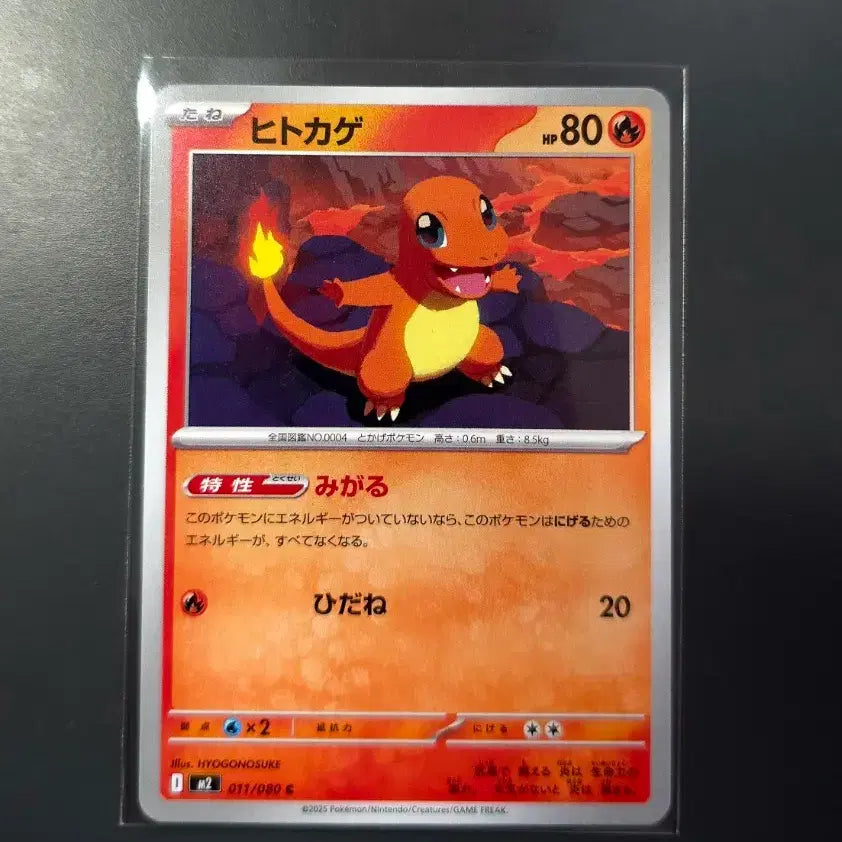 [BUNJANG] Pokemon Card Bundle - Squirtle, Bulbasaur, Charmander, Pikachu / 일판 근본 포켓몬카드 팝니다 꼬부기 이상해씨 파이리 피카츄