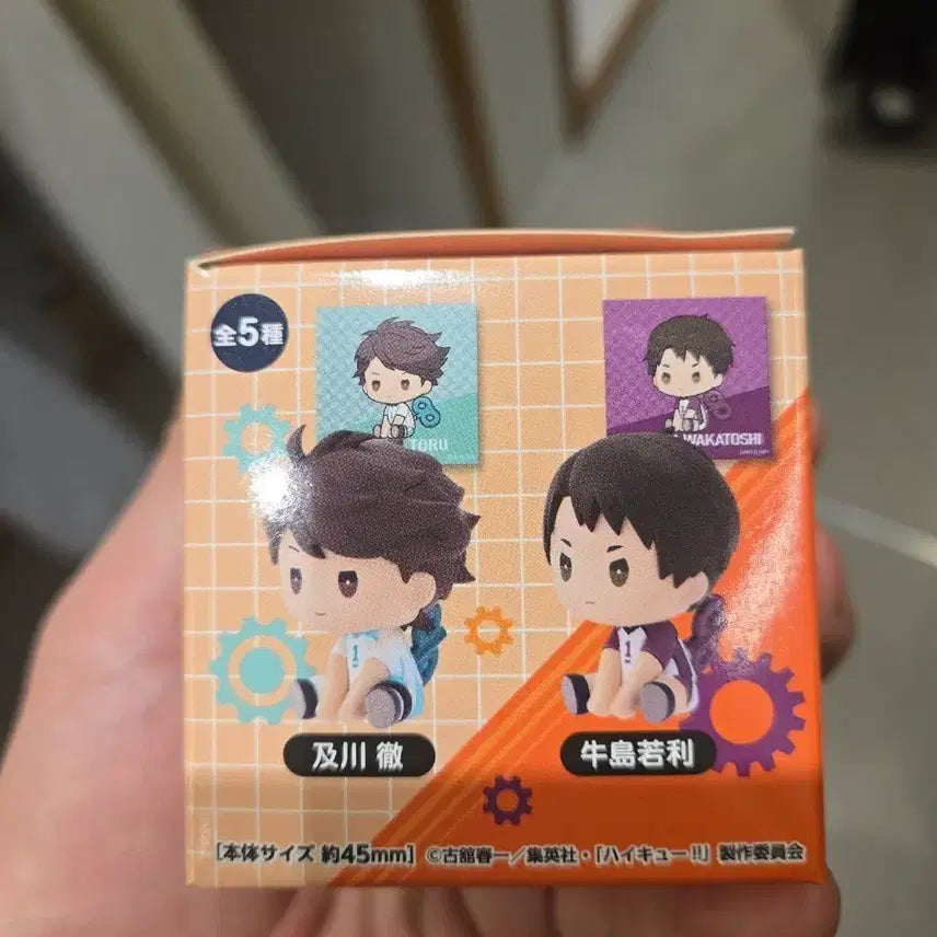 [BUNJANG] Haikyuu!! Oikawa Tsurumeki Gacha Unsealed / 하이큐 페탓토 태엽 가챠 오이카와