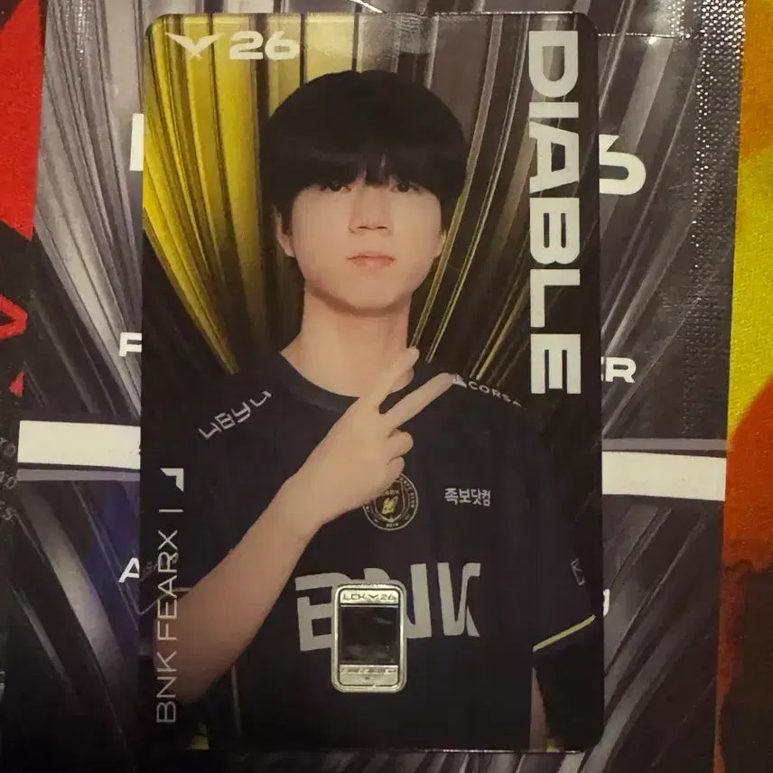 [BUNJANG] LCK Korea Mint Silver Card Diablo / Lck 조폐공사 실버카드 디아블 교환/판매