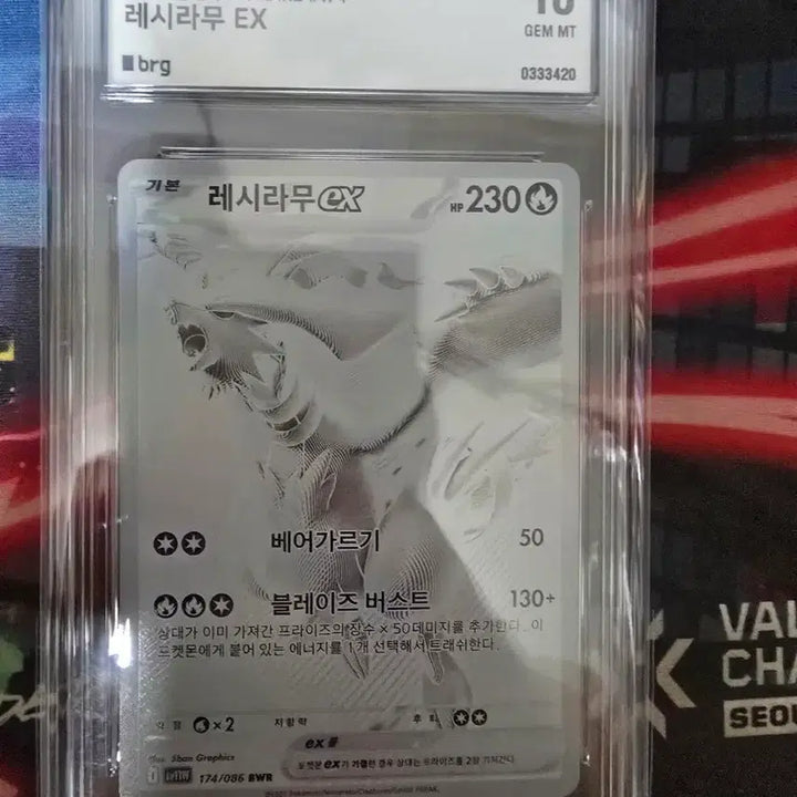 [SOLD OUT] 레시라무 bwr (급처)