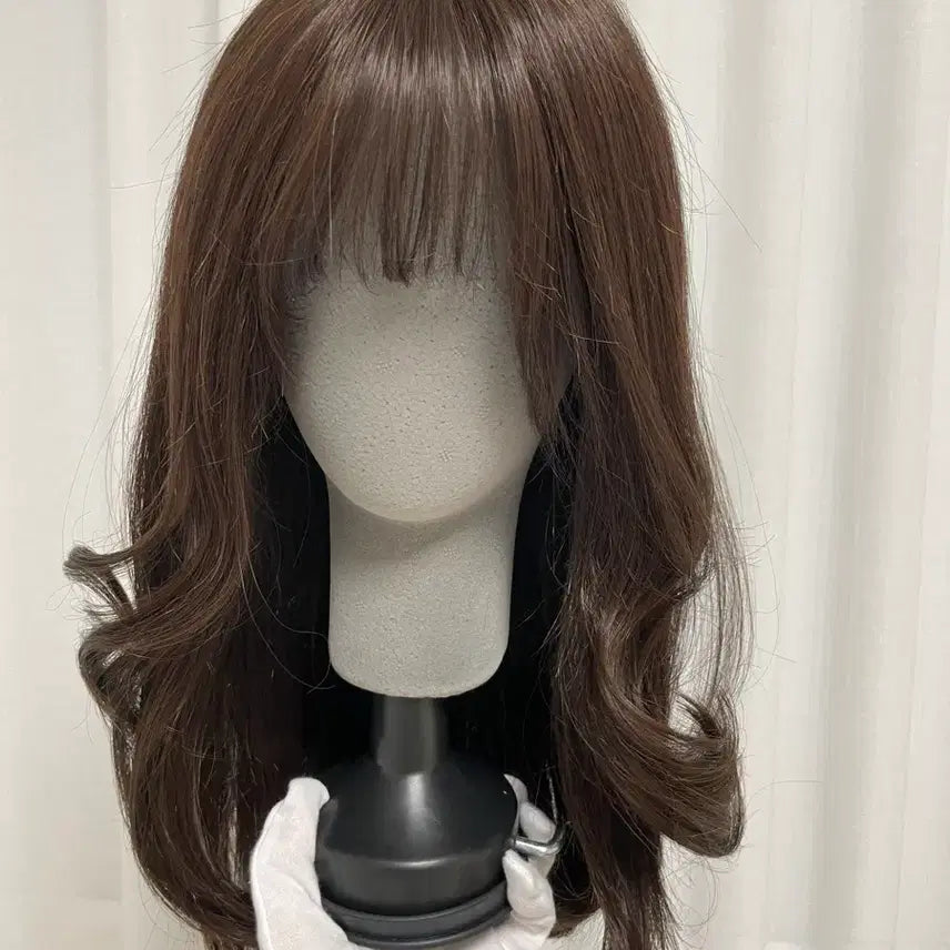 [BUNJANG] Mixed Human Hair Wig - Brown M / 긴머리 인모혼합 통가발 브라운 M / 박승철,하이모,힐링햇,핑크에이지
