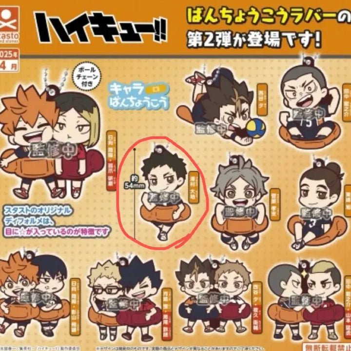 [BUNJANG] Haikyuu!! Sawamura Daichi Rubber Mascot Vol. 2 (Sealed) / [미개봉] 하이큐 캐릭터 반창고 러버 마스코트 vol.2