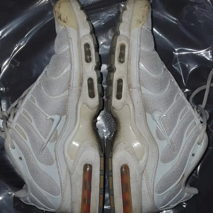 [BUNJANG] Nike Air Max Plus Triple White / 나이키 에어맥스 플러스 트리플 화이트 275 사이즈