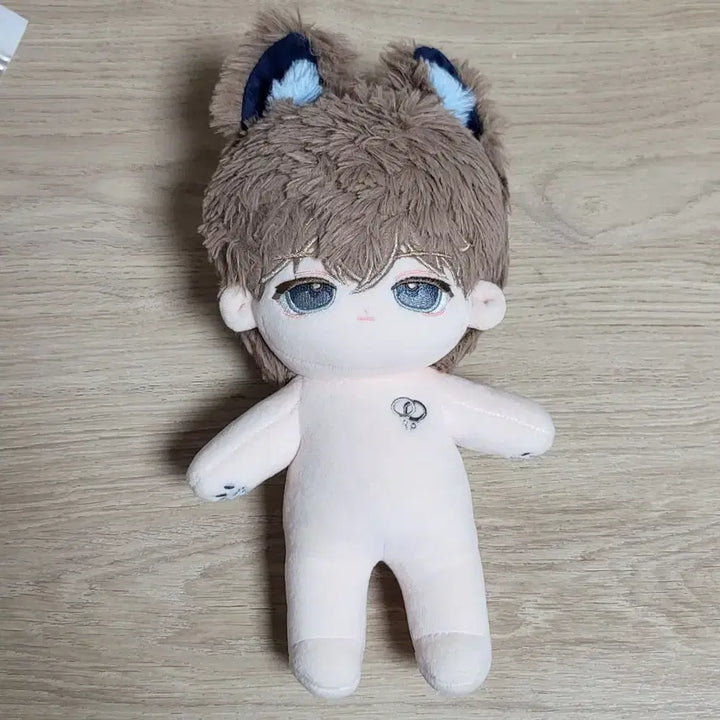 [BUNJANG] 20cm Taiwanese &