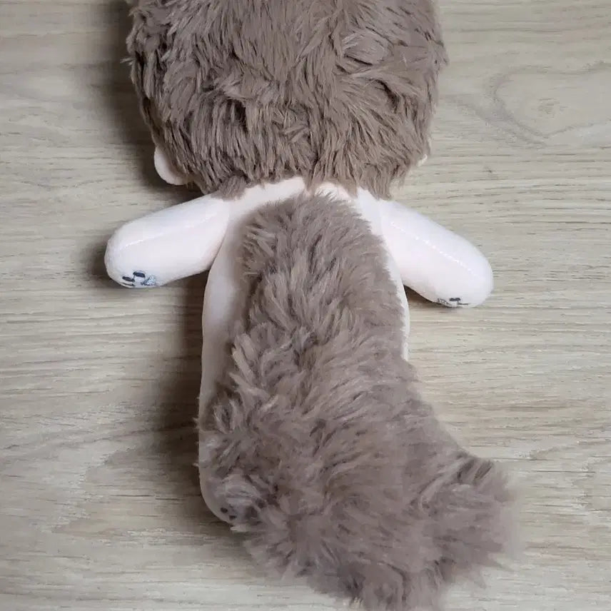 [BUNJANG] 20cm Taiwanese &