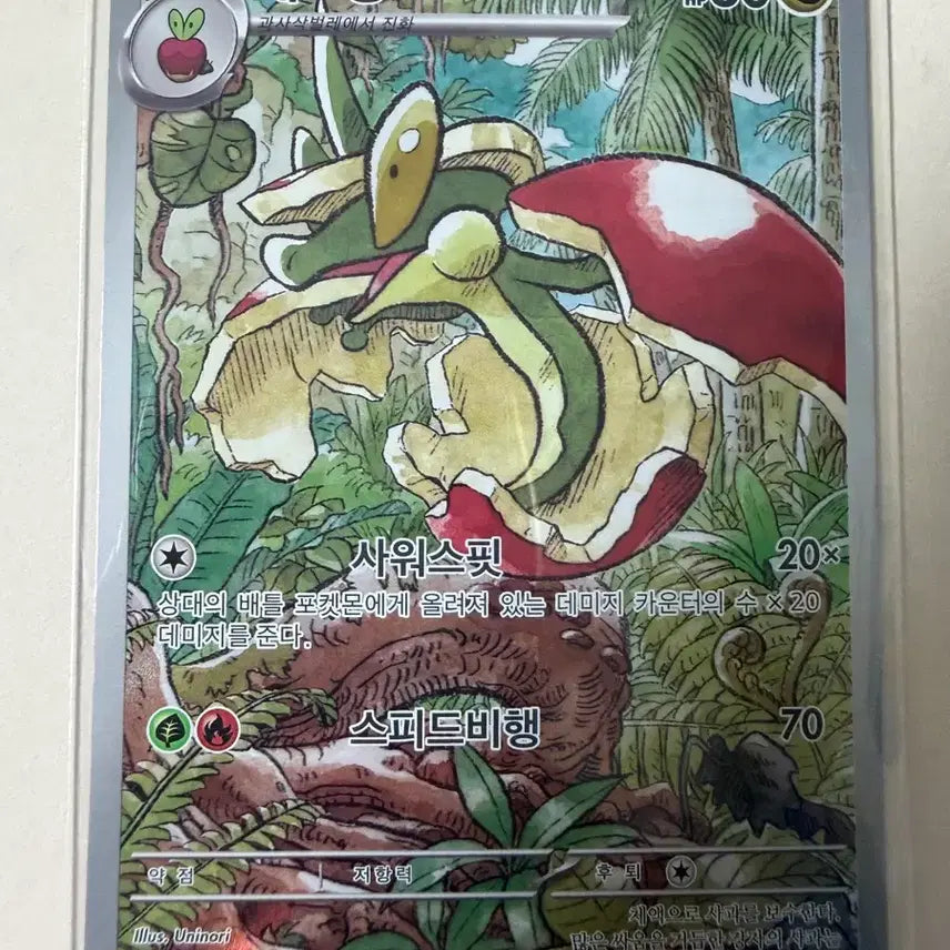 [BUNJANG] Pokemon Card Aeropteryx / 포켓몬 카드 애프룡