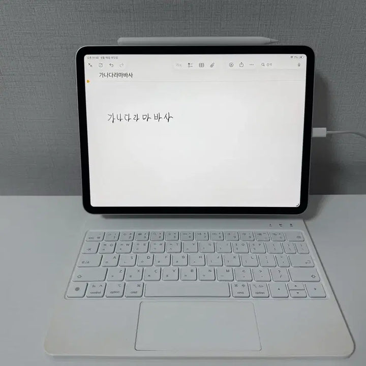 [BUNJANG] Apple iPad Pro 11-inch 1st Gen + Apple Pencil 2nd Gen + Rugged Keyboard / 아이패드 프로 11인치 1세대 + 애플펜슬 2세대 + 구조독키보드