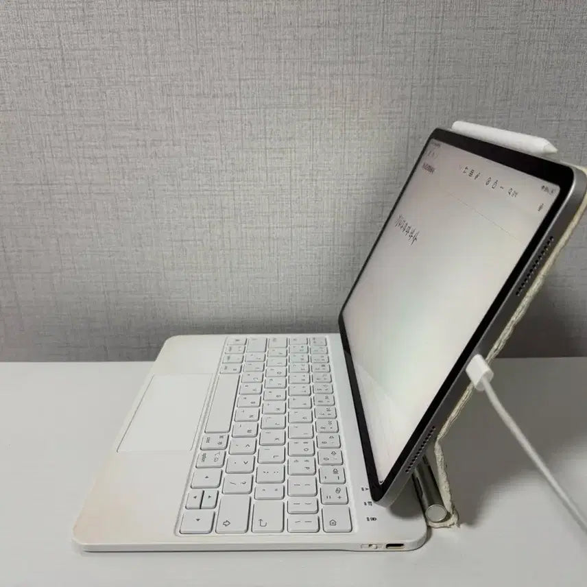 [BUNJANG] Apple iPad Pro 11-inch 1st Gen + Apple Pencil 2nd Gen + Rugged Keyboard / 아이패드 프로 11인치 1세대 + 애플펜슬 2세대 + 구조독키보드