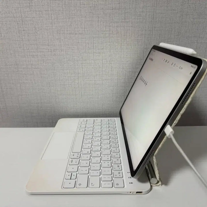 [BUNJANG] Apple iPad Pro 11-inch 1st Gen + Apple Pencil 2nd Gen + Rugged Keyboard / 아이패드 프로 11인치 1세대 + 애플펜슬 2세대 + 구조독키보드