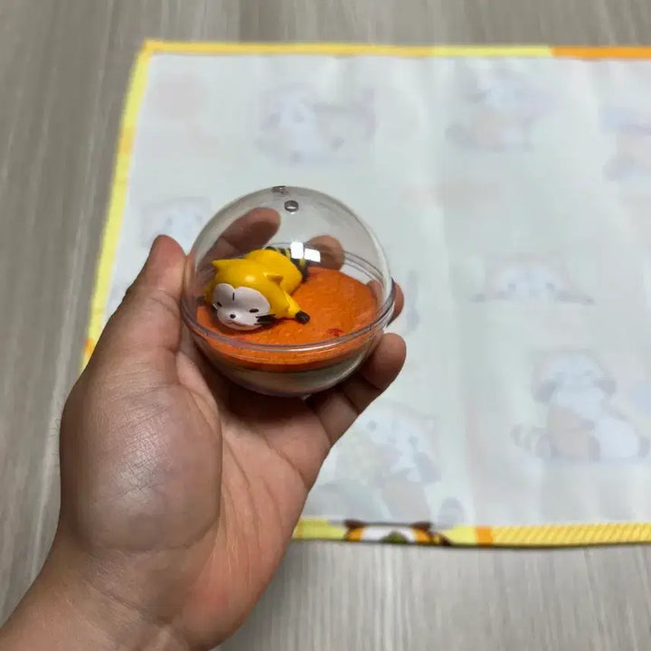 [BUNJANG] Rascal Raccoon Fabric Figure Bundle Set / 라스칼 굿즈 너구리 패브릭 피규어 일괄 일본