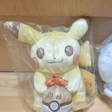 [BUNJANG] Pokemon 30th Anniversary Golden Pikachu Plush / 포켓몬 30주년 기념 황금 피카피카 피카츄