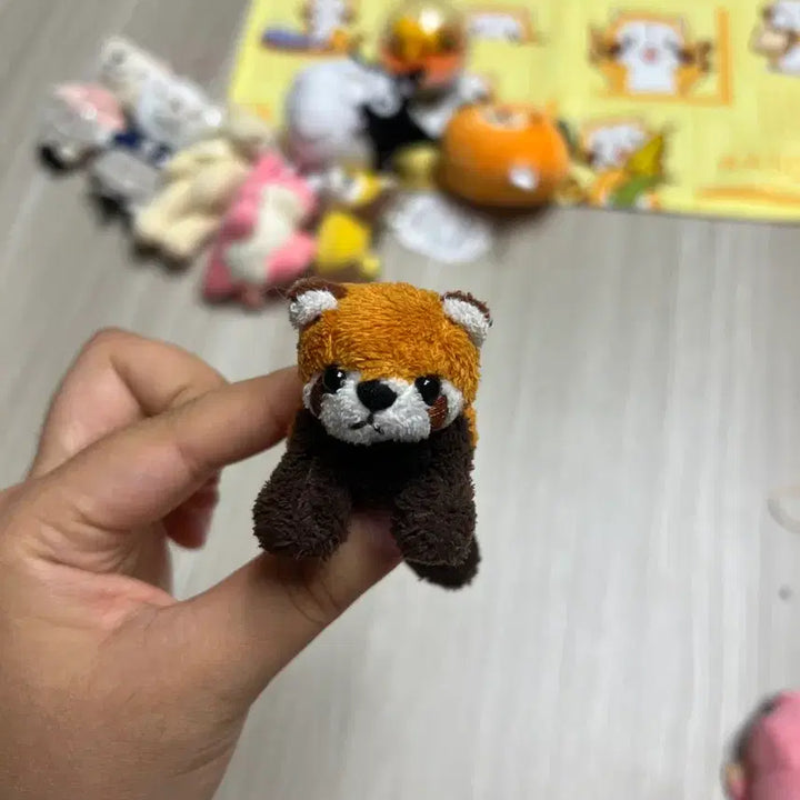 [BUNJANG] Red Panda Plush Toy Set / 일본 레서판다 인형 세트