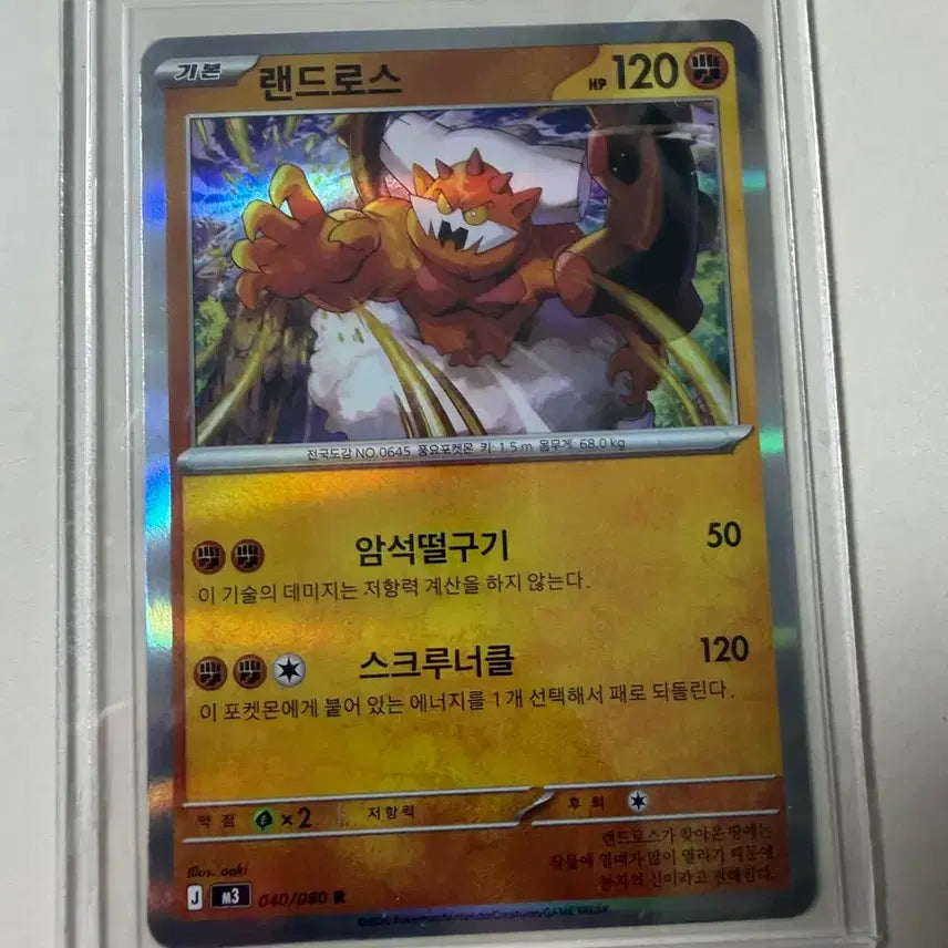 [BUNJANG] Pokemon Card Landorus Rare Card / 포켓몬카드 랜드로스