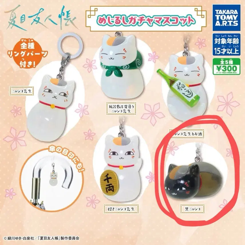 [BUNJANG] Natsume&