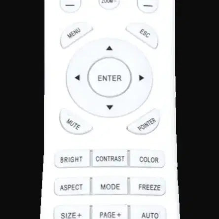 [BUNJANG] Universal Projector Remote Control / 빔프로젝터 호환리모컨