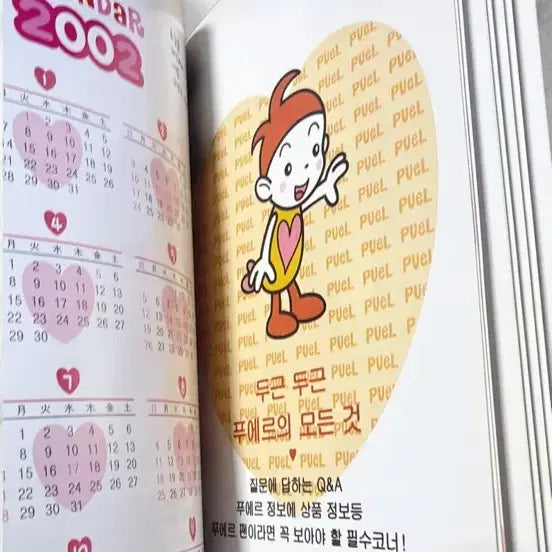 [BUNJANG] 2002 Puer Encyclopedia / 2002년 푸에르 대백과