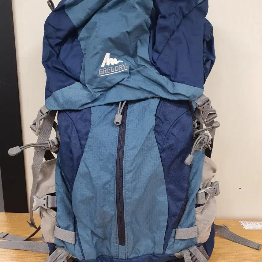 [BUNJANG] Gregory 30L Hiking Backpack / 그레고리 정품 30리터 등산배낭 판매합니다