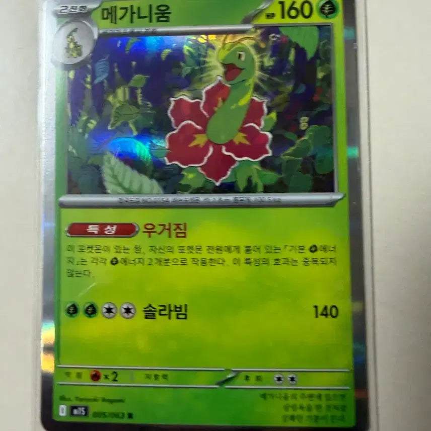 [BUNJANG] Meganium Pokémon Card / 메가니움 포켓몬