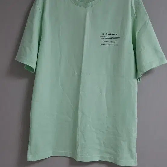 [BUNJANG] H_ESSENTIAL Oversized Print T-Shirt Mint / (남녀공용)오버핏 프린트 반팔티셔츠