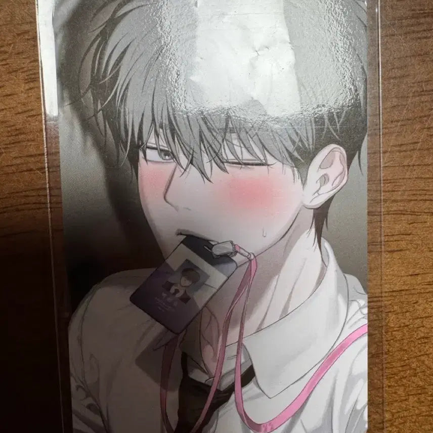[BUNJANG] Mable Company Sabaejin Photocard Holder / 미블컴퍼니 미블 사반품 사반불