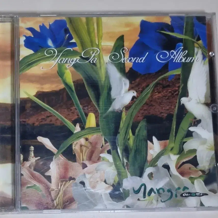 [BUNJANG] Various Artists ONION 2nd Album (Unsealed CD) / 양파 2집 (개봉 CD) 알고 싶어요, 소유, 다시 우리