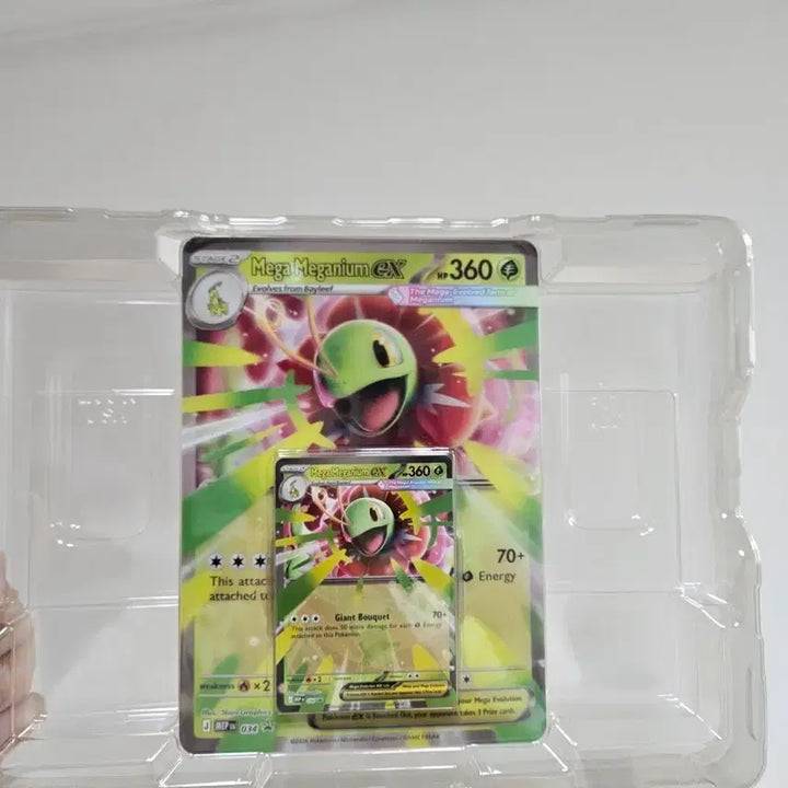 [BUNJANG] Pokemon Card North America Mega Meganium EX Promo / 포켓몬 카드 북미판 메가 메가니움 프로모