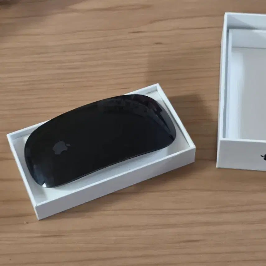 [BUNJANG] Apple Magic Mouse Black USB-C / 애플 매직 마우스 블랙 c타입