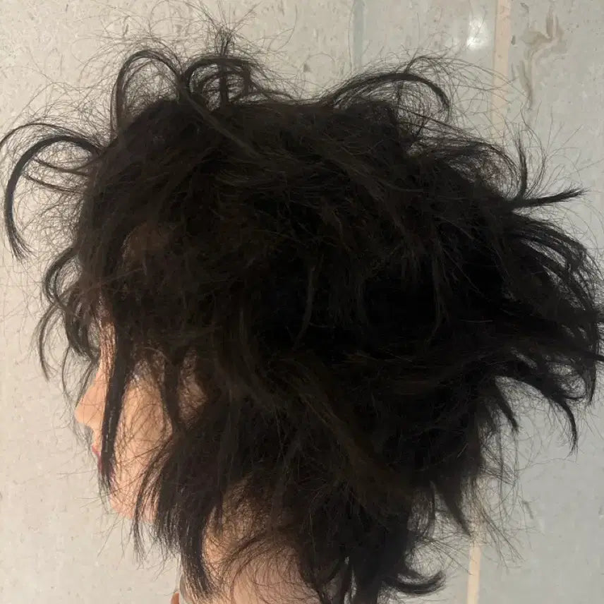 [BUNJANG] Cheon Hye-in Human Hair Full Wig / 천혜인 인모 통가발