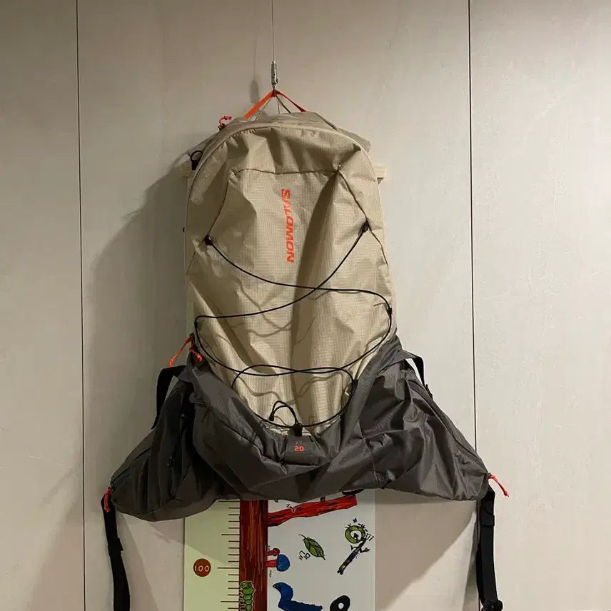 [BUNJANG] Salomon XT15 Backpack Feather Grey / 살로몬 xt15 백팩 페더그레이