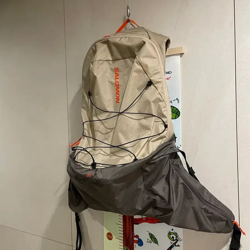 [BUNJANG] Salomon XT15 Backpack Feather Grey / 살로몬 xt15 백팩 페더그레이