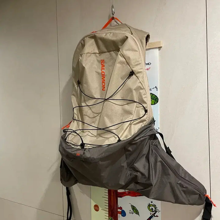 [BUNJANG] Salomon XT15 Backpack Feather Grey / 살로몬 xt15 백팩 페더그레이