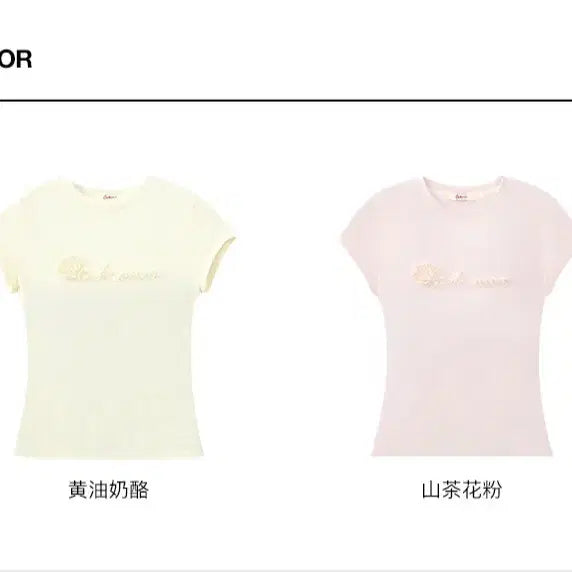 [BUNJANG] OAKMOO Lyocell Cotton Cooling Crewneck Slim T-Shirt / OAKMOO 오크무 리오셀 코튼 쿨링 크루넥 슬림 티셔츠