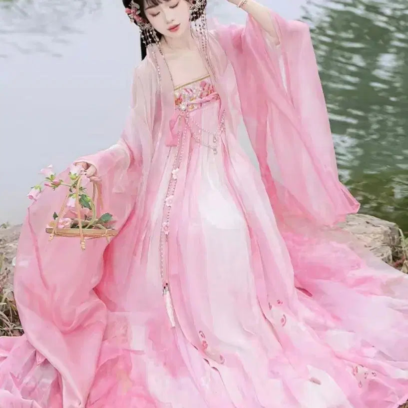 [BUNJANG] Hanfu Cosplay Costume (Traditional Chinese Style) / [판매/신품] 한푸 프리사이즈 (고전,중국풍,선녀옷,코스프레)