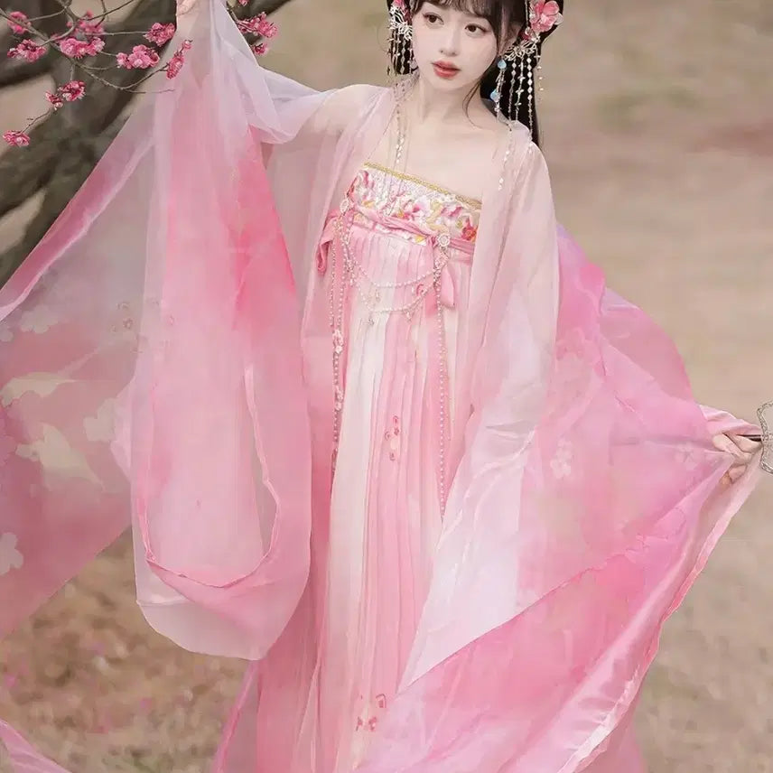 [BUNJANG] Hanfu Cosplay Costume (Traditional Chinese Style) / [판매/신품] 한푸 프리사이즈 (고전,중국풍,선녀옷,코스프레)