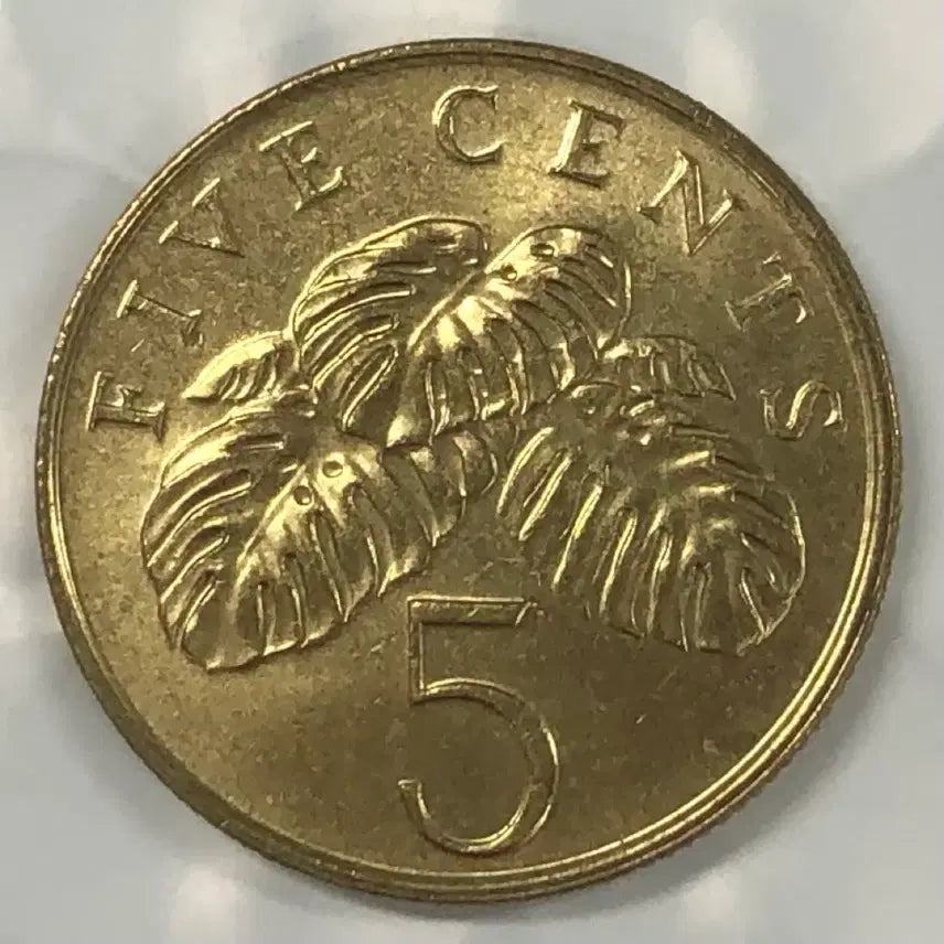 [BUNJANG] Singapore 5 Cents Coin (1995) / 1995년 싱가포르 5센트 동전 D369