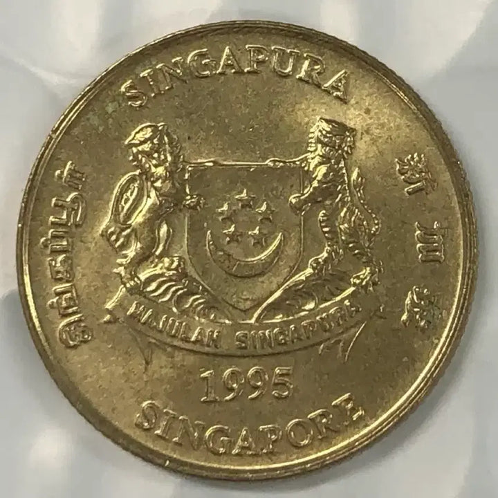 [BUNJANG] Singapore 5 Cents Coin (1995) / 1995년 싱가포르 5센트 동전 D369