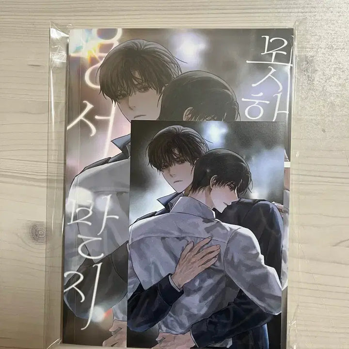[BUNJANG] Chii-jeu "Our Unforgivable" Fan-made Book / 괴담출근 치이즈님 통판 최솔 용서받지 못할 우리 회지 양도