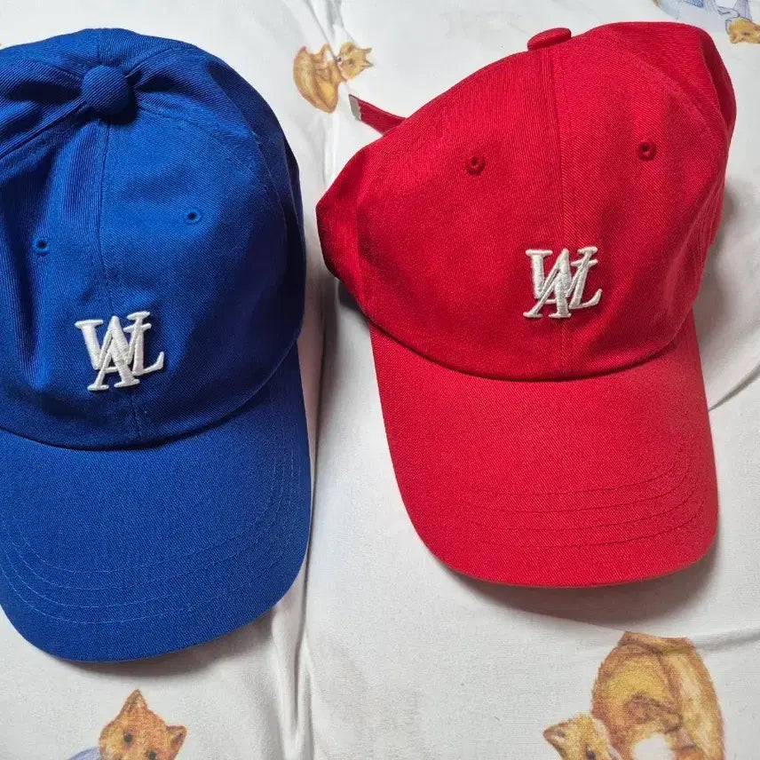 [BUNJANG] Wooalong Ball Cap Hat / 우알롱 볼캡 모자 거의 새것