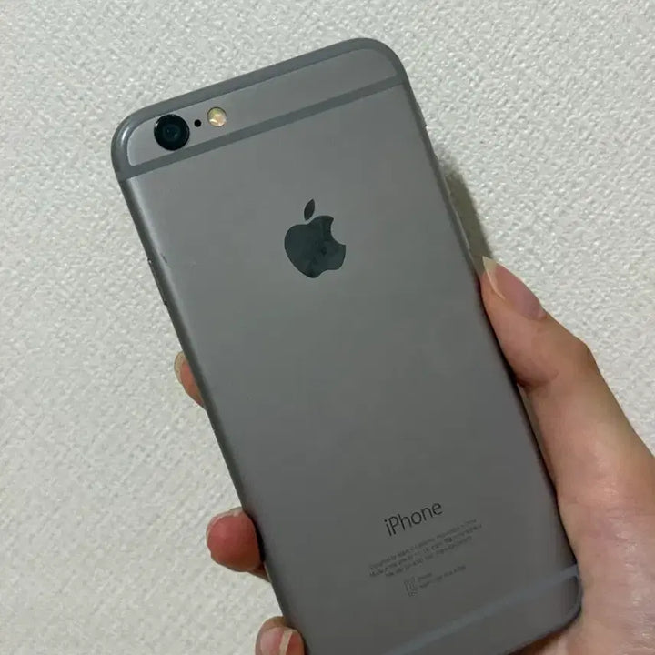 [BUNJANG] Apple iPhone 6 Silver / 아이폰6실버