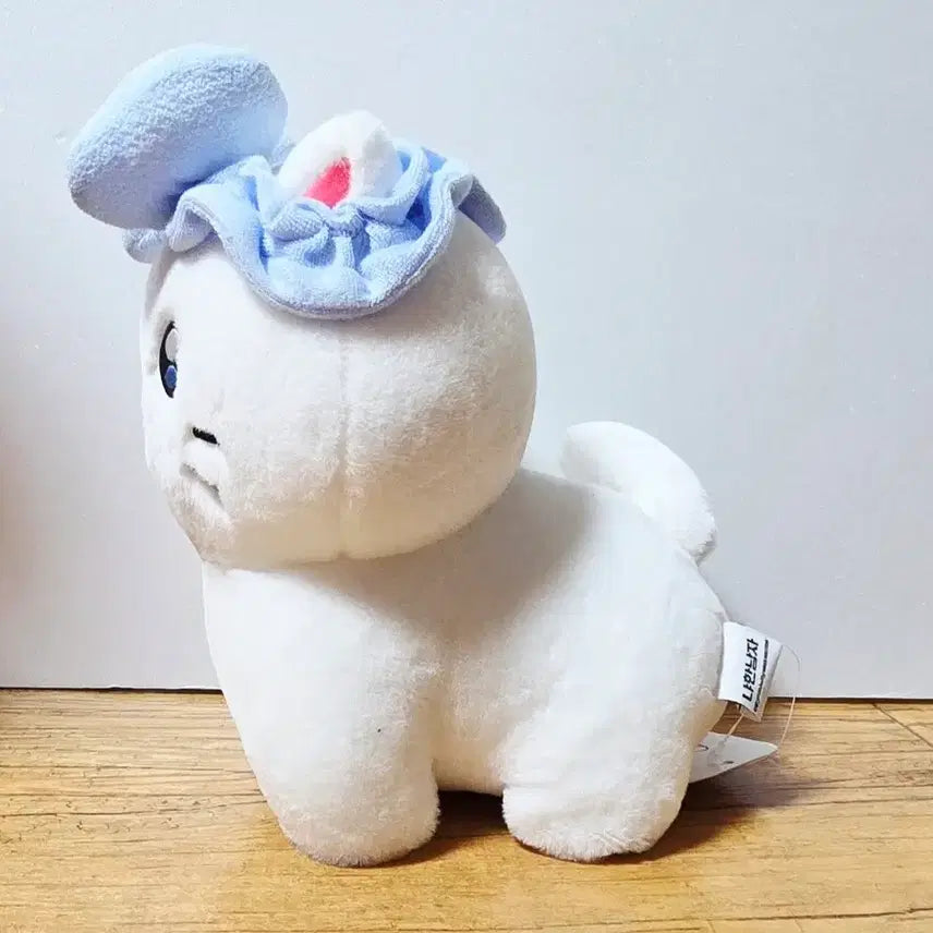 [BUNJANG] Kkujiri Choonbae 25cm Doll / 꼬질이 춘배 25cm 인형