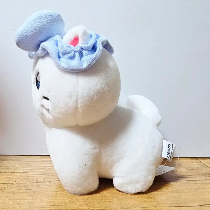 [BUNJANG] Kkujiri Choonbae 25cm Doll / 꼬질이 춘배 25cm 인형