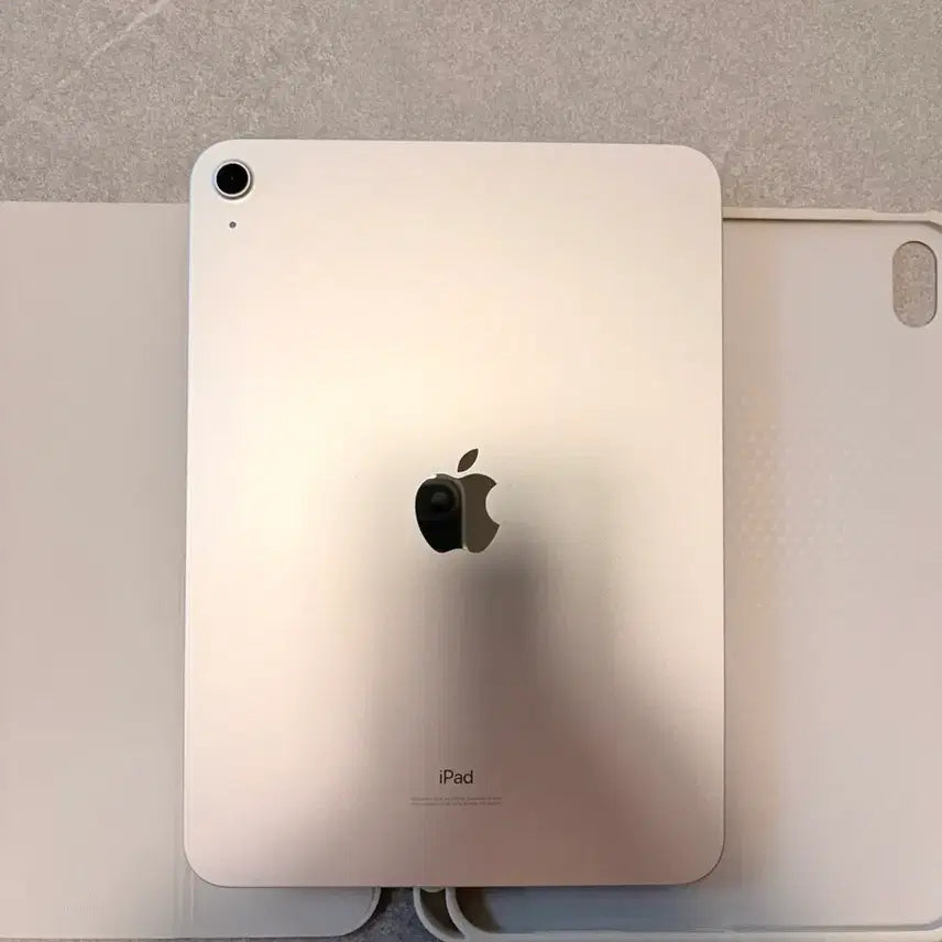 [BUNJANG] Apple iPad 10th Gen WiFi 64GB Silver (Full Box + Free Stylus) / 아이패드 10세대 wifi 64GB 실버 풀박스+짭펜슬