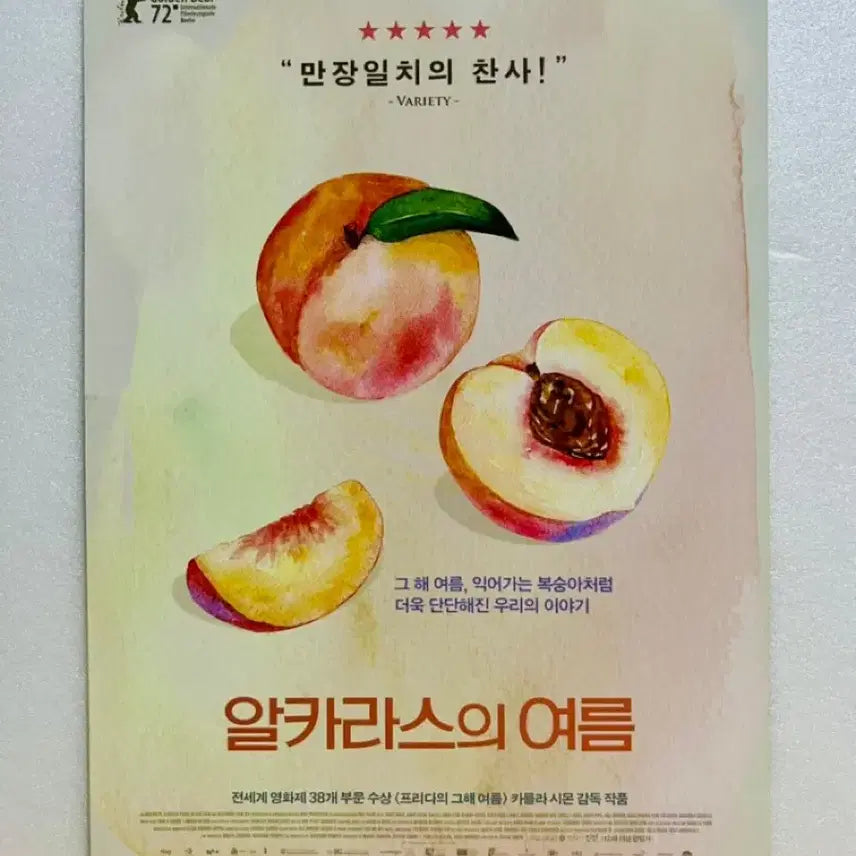 [BUNJANG] Alcarràs (2022) A5 Movie Pamphlet / [영화전단지/영화엽서] (A5 1장) 알카라스의 여름 (2022)
