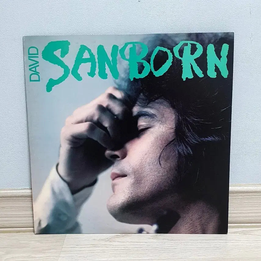 [BUNJANG] David Sanborn Hideaway LP (Import) / LP ㅡ [JAZZ] David Sanborn / 수입명반