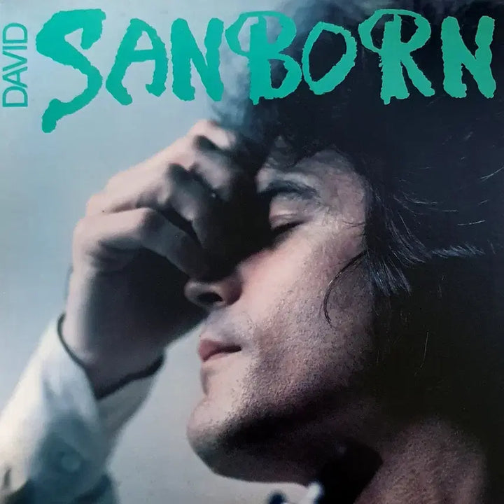 [BUNJANG] David Sanborn Hideaway LP (Import) / LP ㅡ [JAZZ] David Sanborn / 수입명반